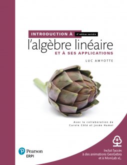 Introduction à l'algèbre linéaire et à ses applications 4e enrichie